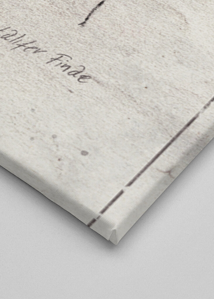 Cyclommatus Metalifer Finae