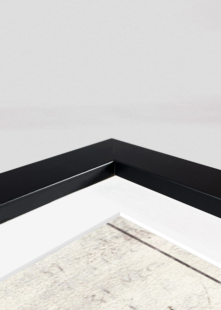 Cyclommatus Metalifer Finae