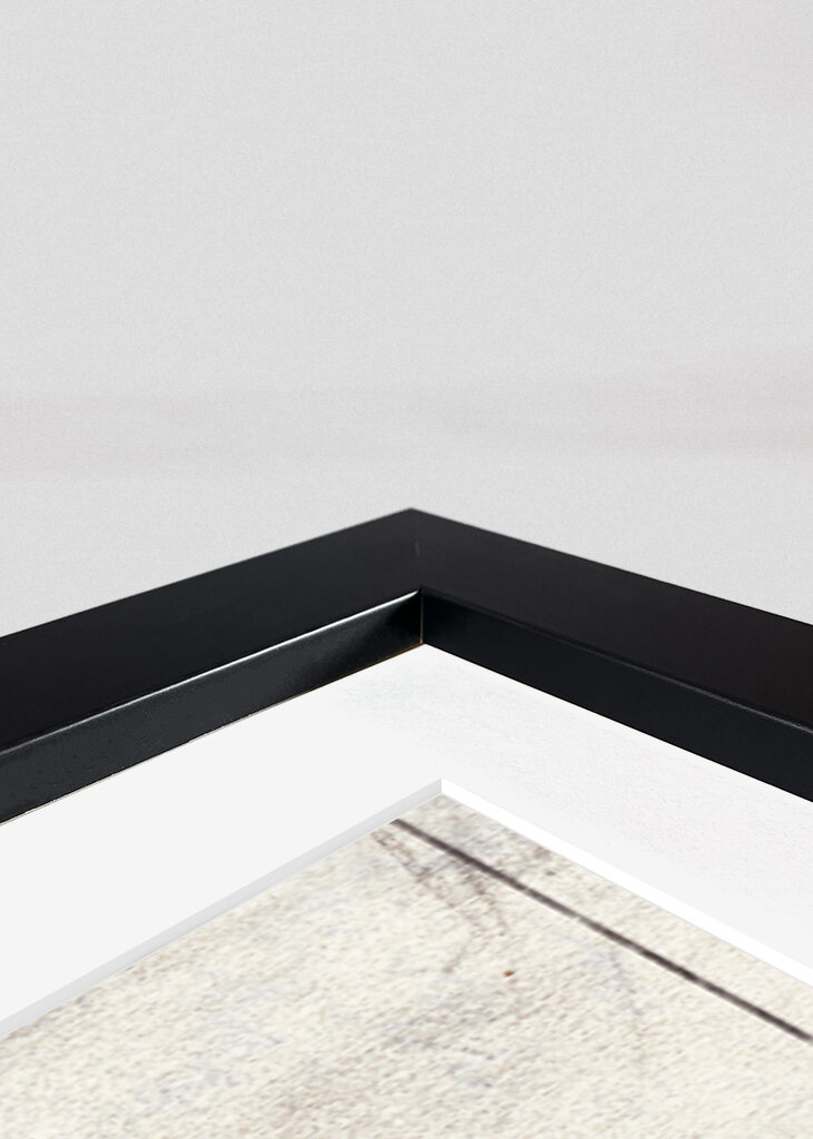 Phyllium Siccifolium