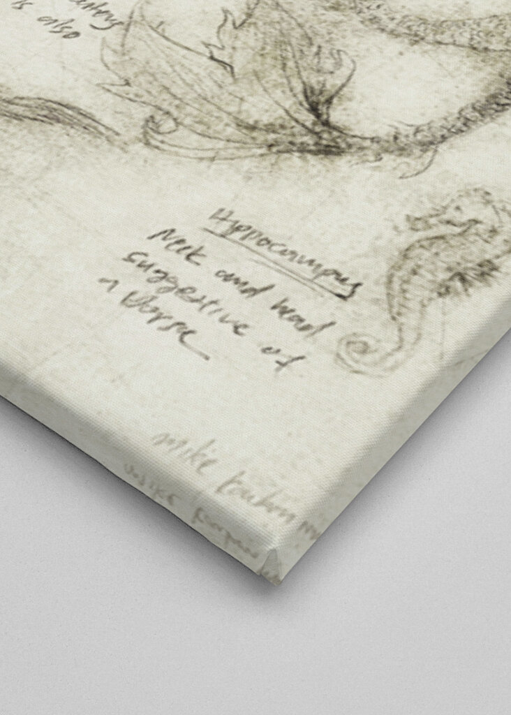 Mythical And Marine Creatures