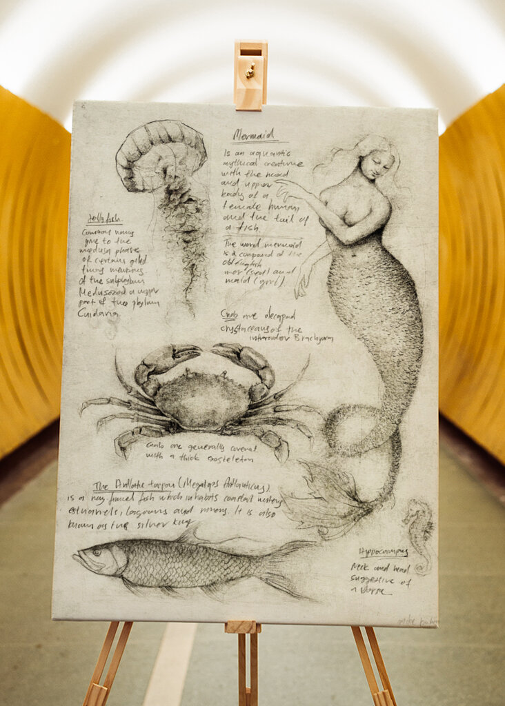 Mythical And Marine Creatures