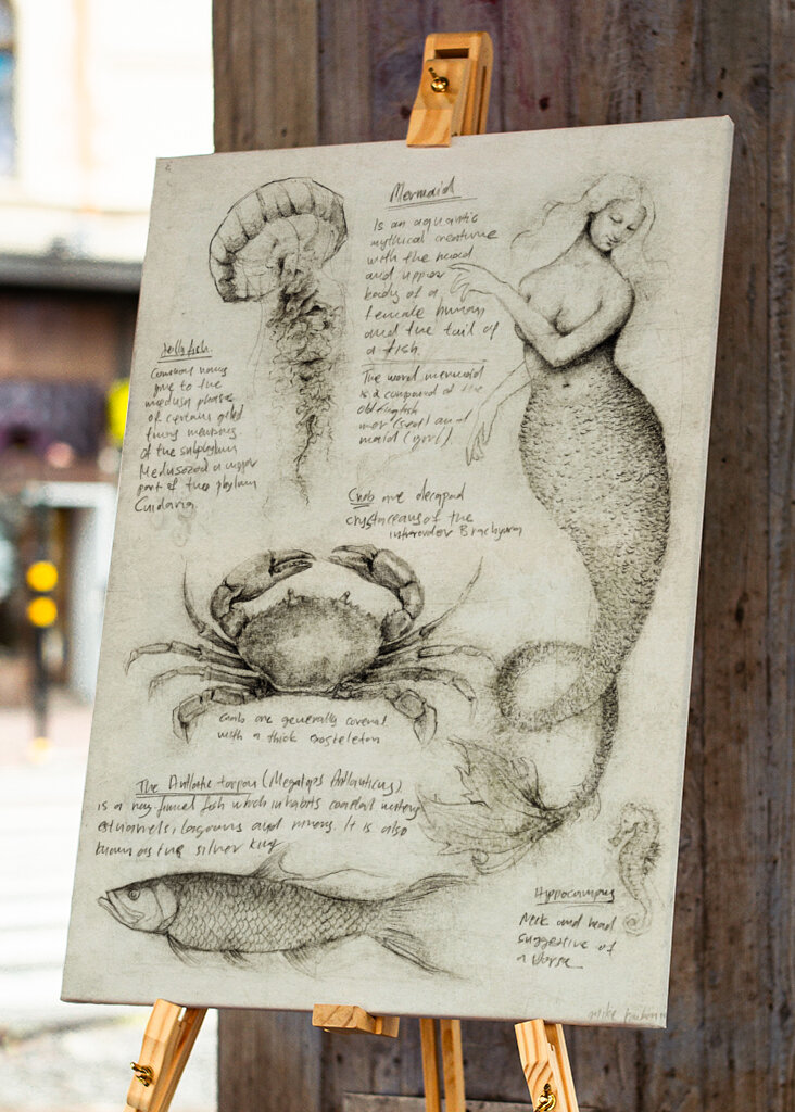 Mythical And Marine Creatures