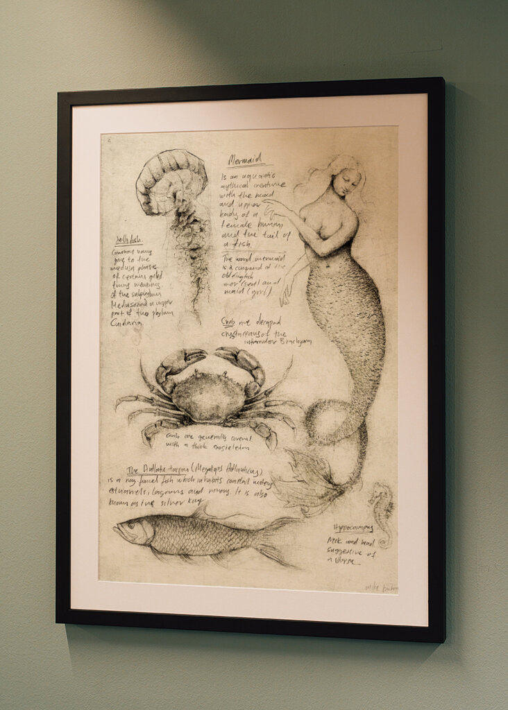 Mythical And Marine Creatures