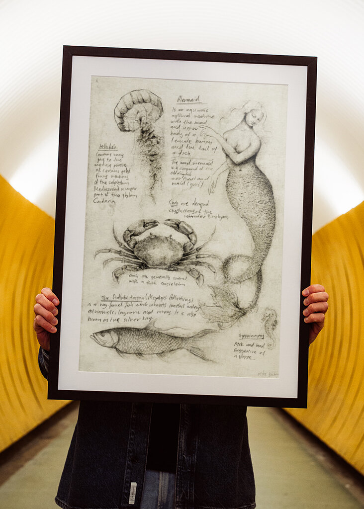 Mythical And Marine Creatures