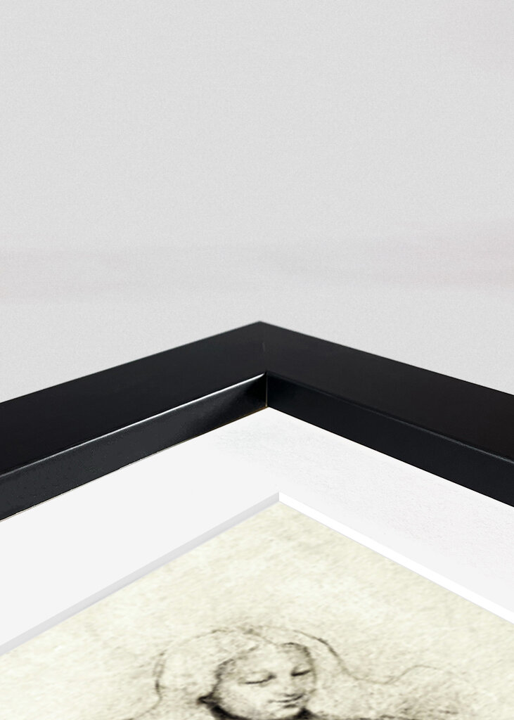 Mythical And Marine Creatures