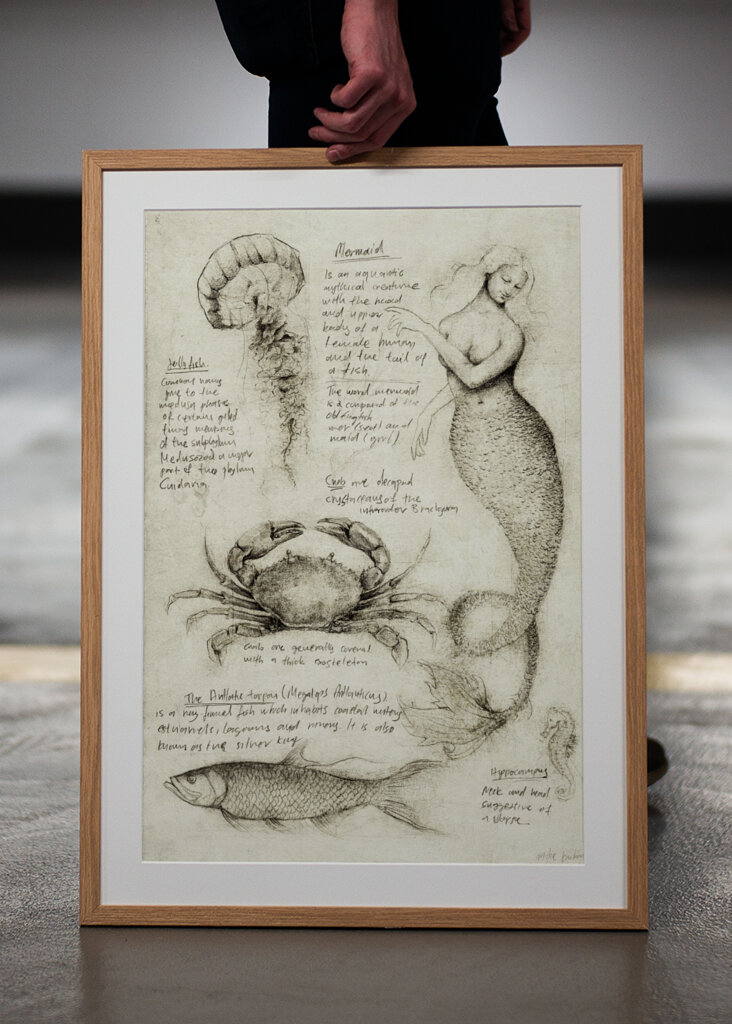 Mythical And Marine Creatures