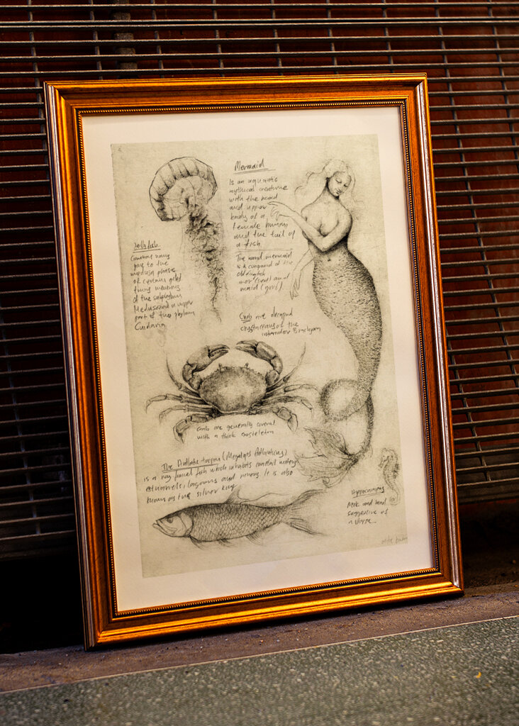 Mythical And Marine Creatures