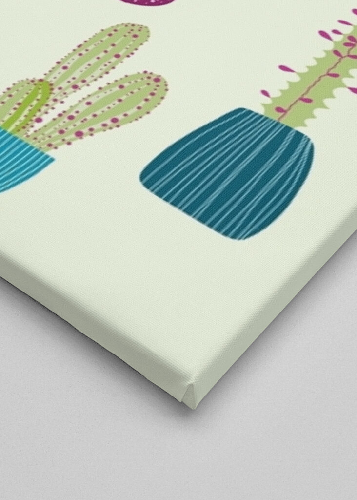 Cactus and Succulent Garden