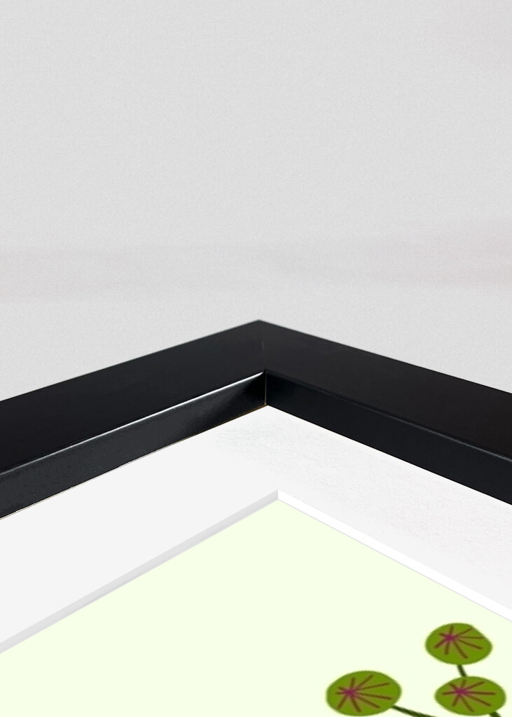 Cactus and Succulent Garden