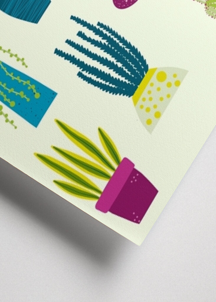 Cactus and Succulent Garden