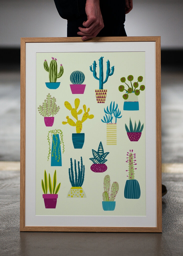 Cactus and Succulent Garden