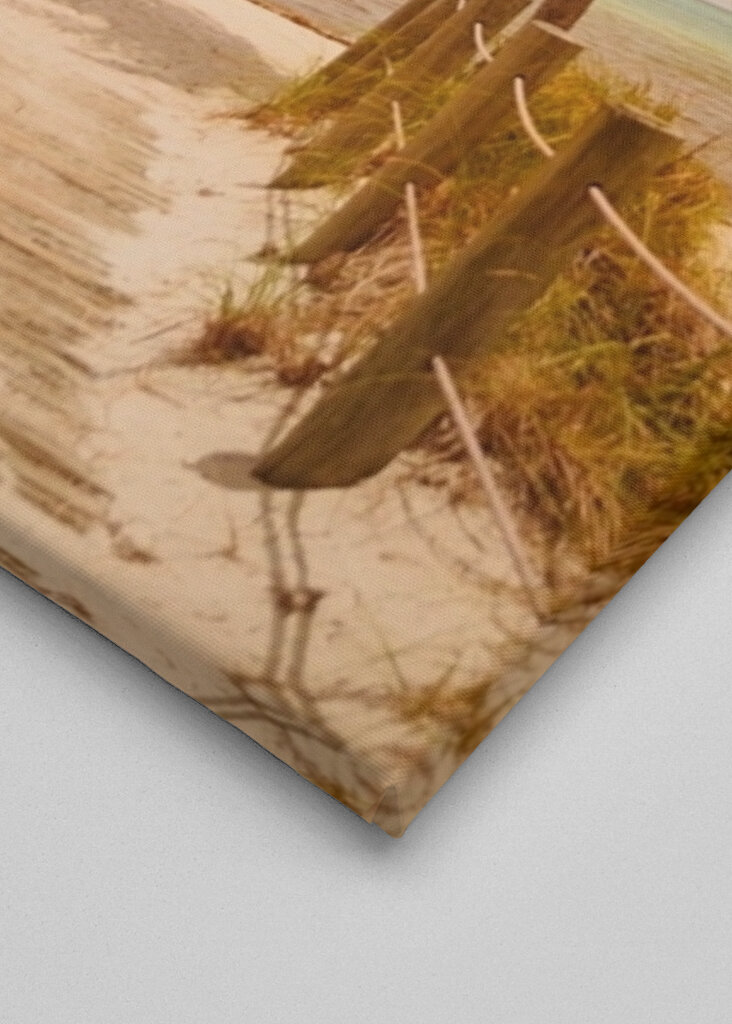 Tropical Paradise Vibes