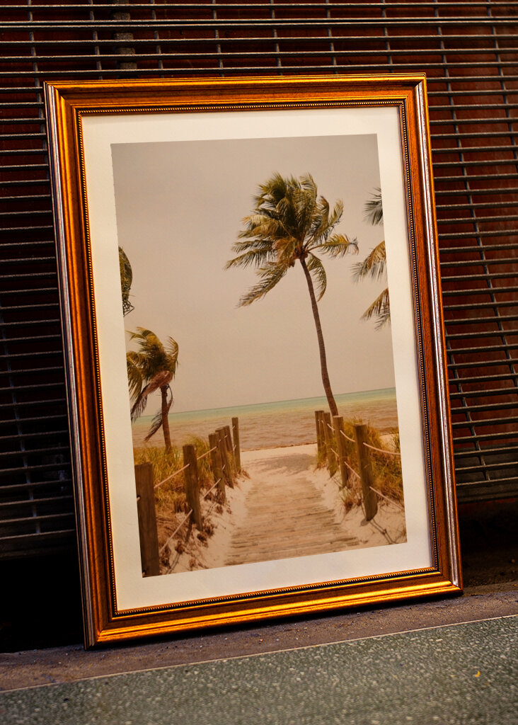 Tropical Paradise Vibes