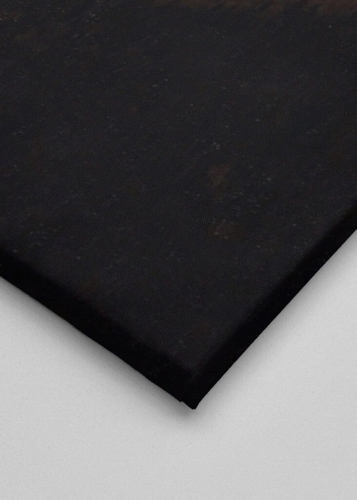 Snowy Mountain Valley