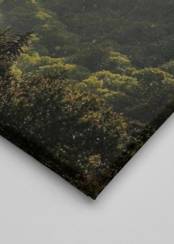 Mist in the Mountains