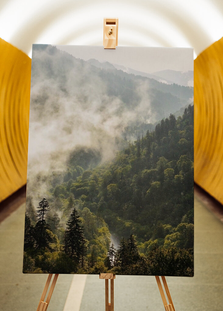 Mist in the Mountains