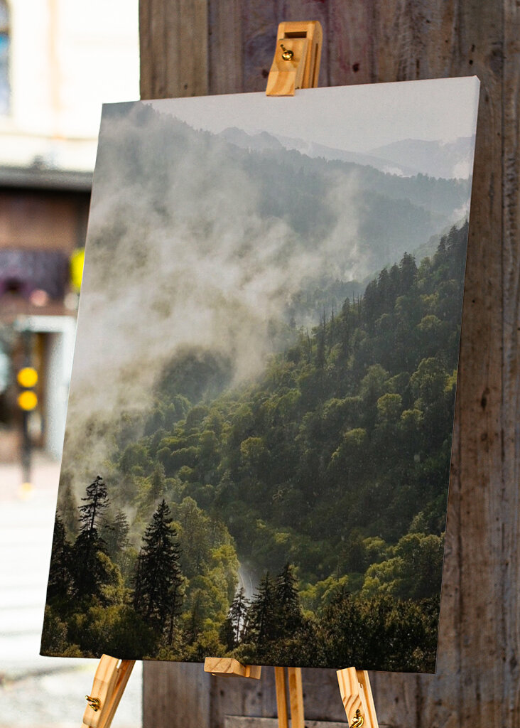 Mist in the Mountains