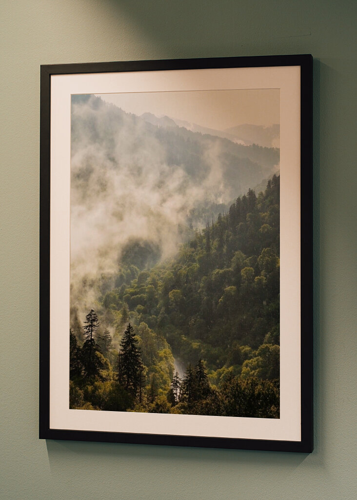 Mist in the Mountains