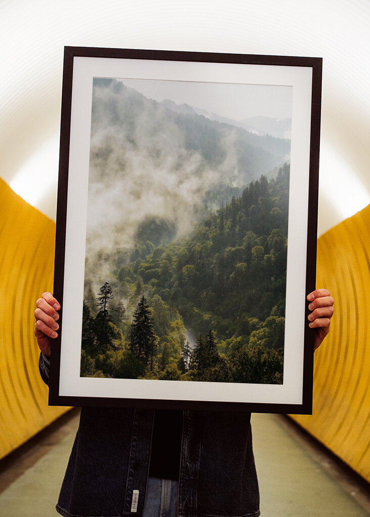 Mist in the Mountains