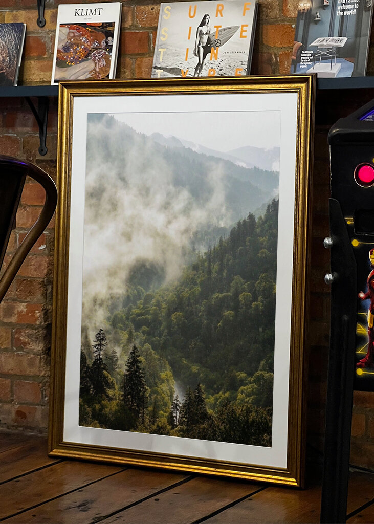 Mist in the Mountains