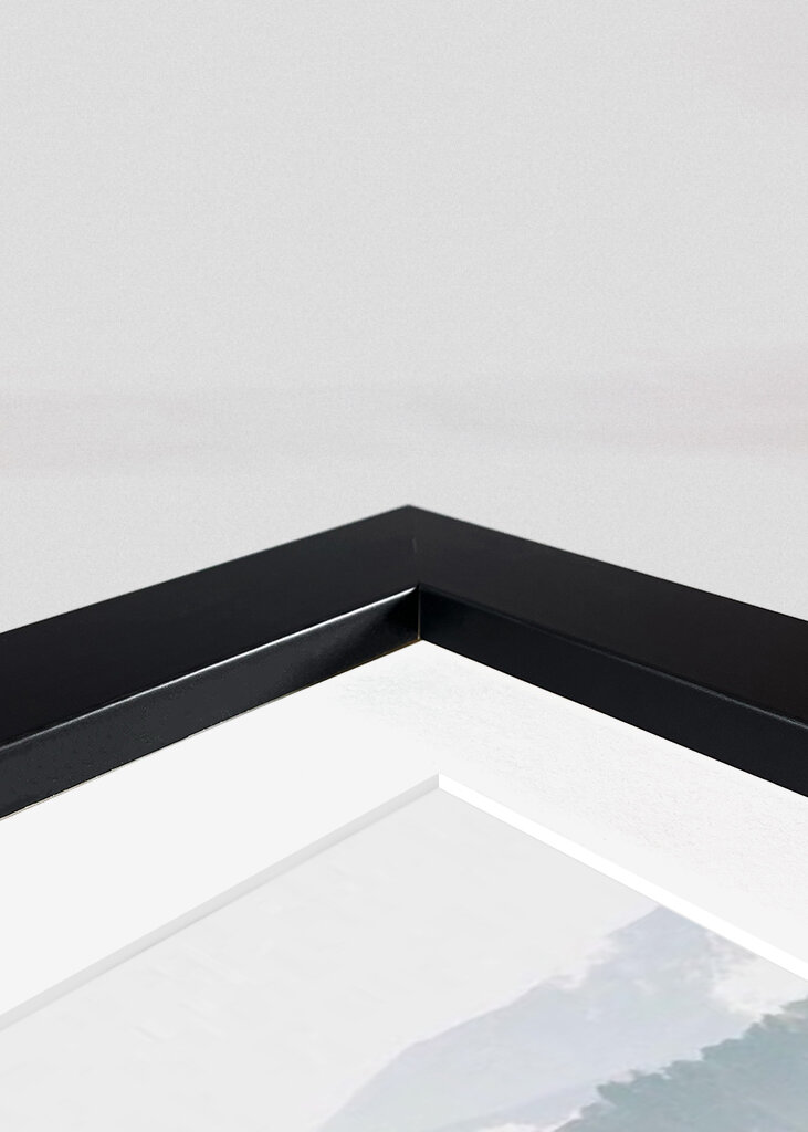 Mist in the Mountains