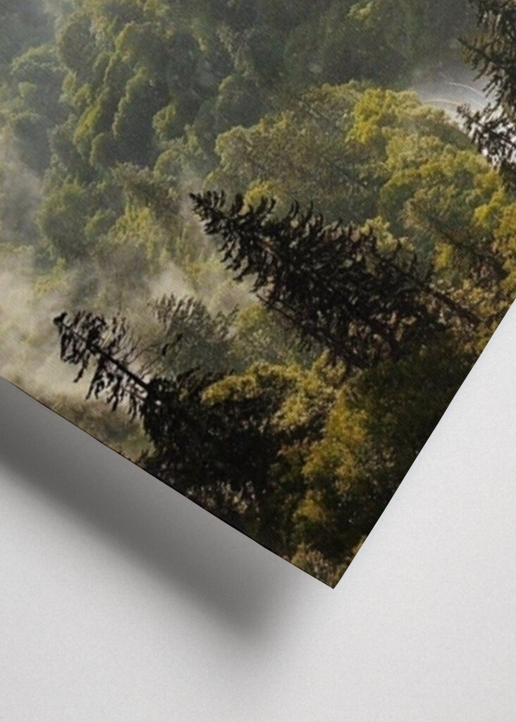 Mist in the Mountains