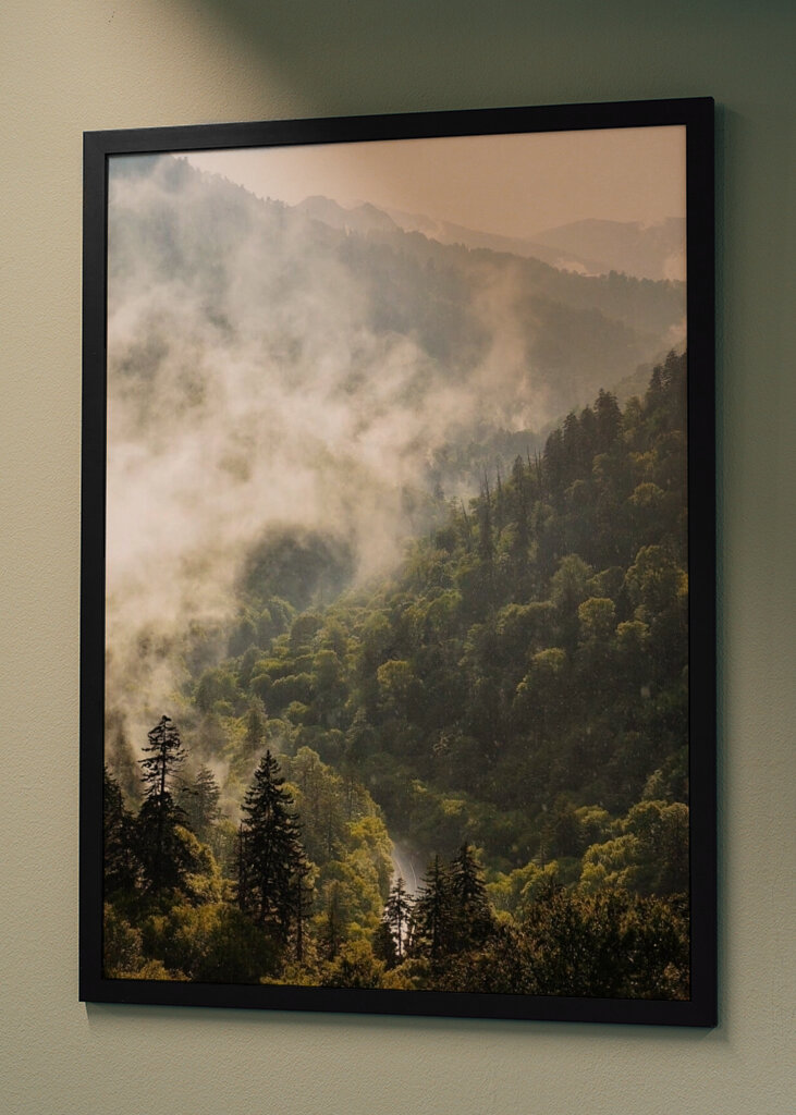 Mist in the Mountains