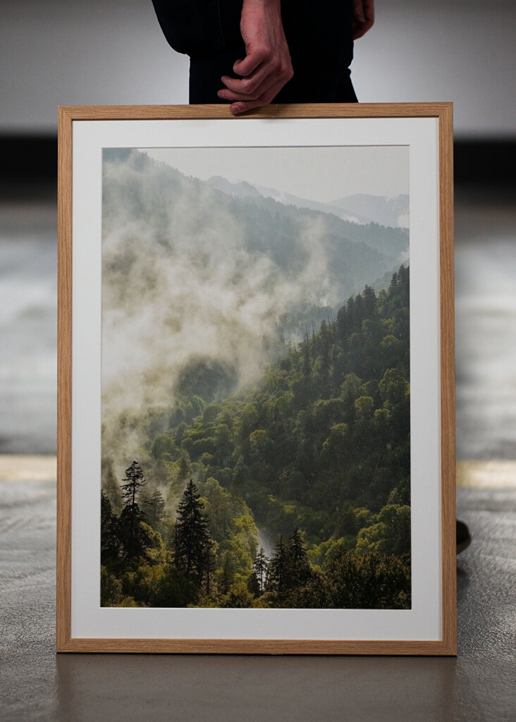 Mist in the Mountains