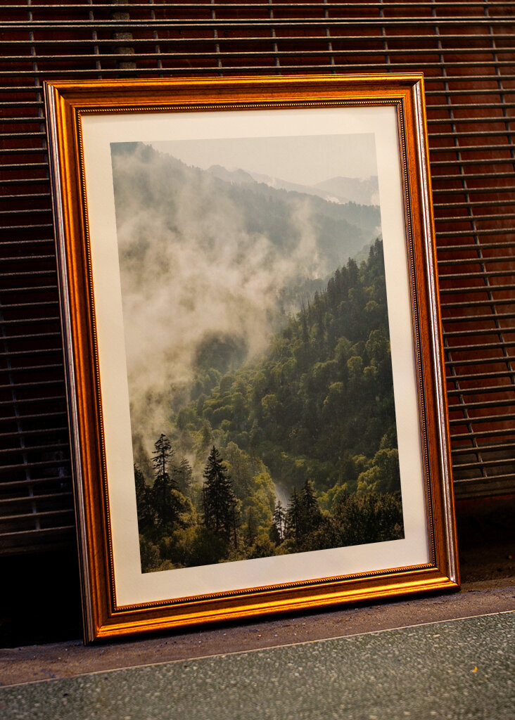 Mist in the Mountains