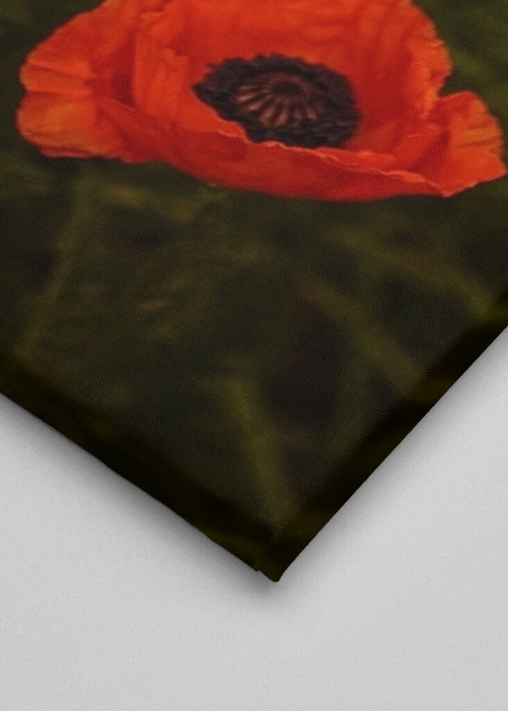 Red Poppies In A Lush Green Field