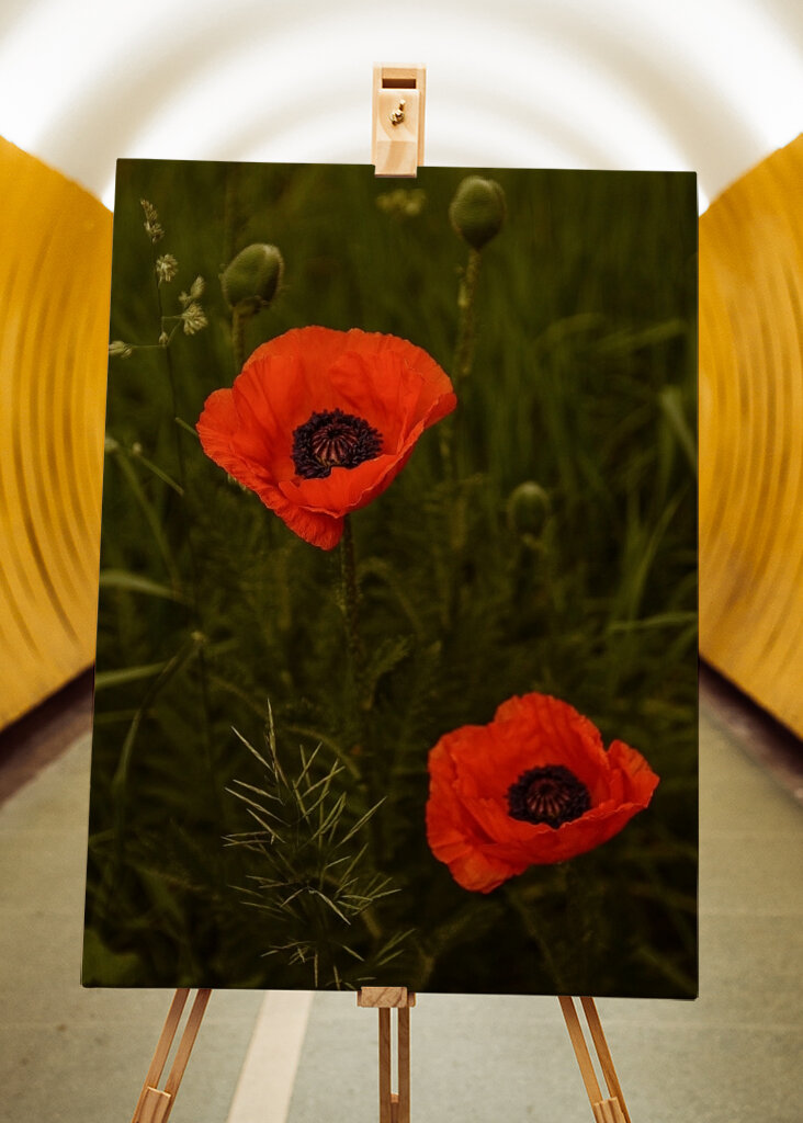 Red Poppies In A Lush Green Field