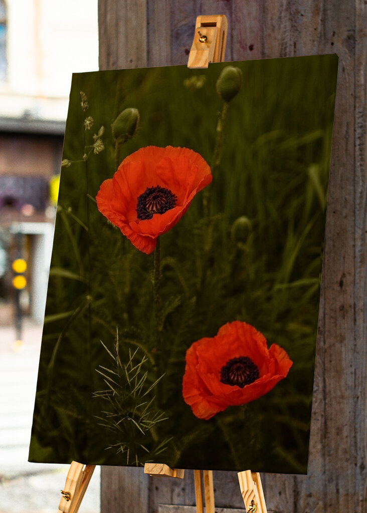 Red Poppies In A Lush Green Field