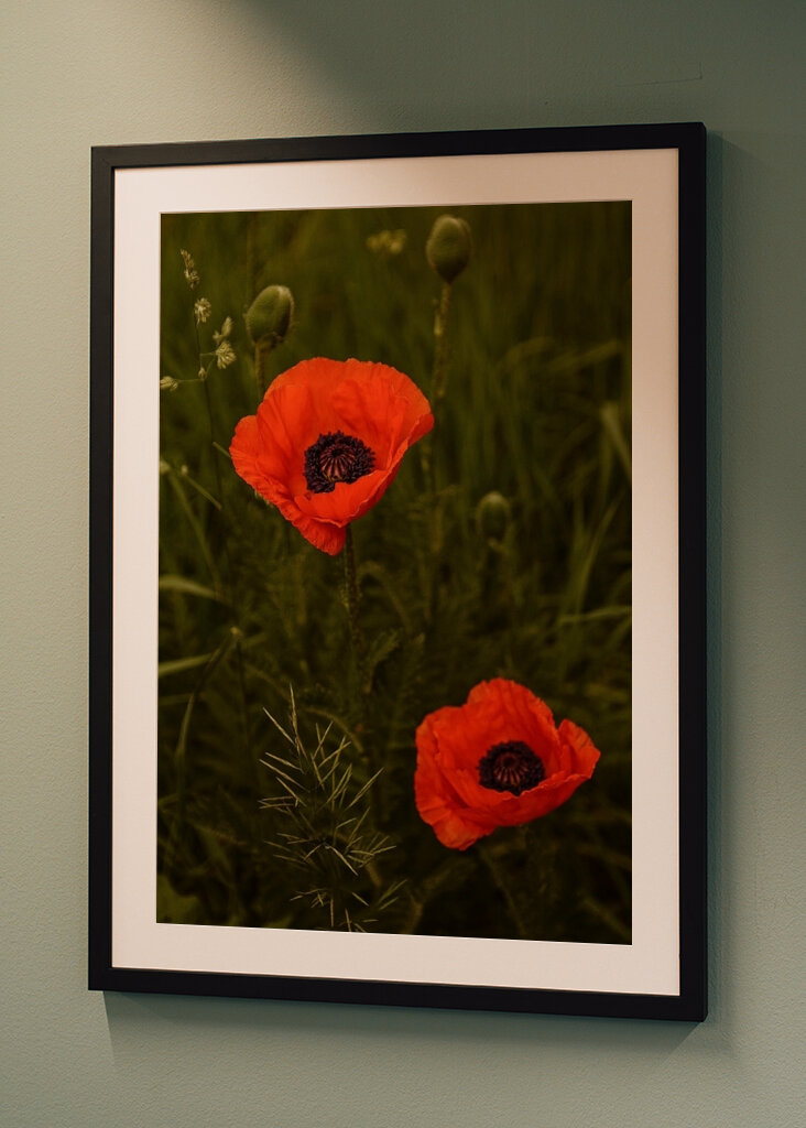 Red Poppies In A Lush Green Field