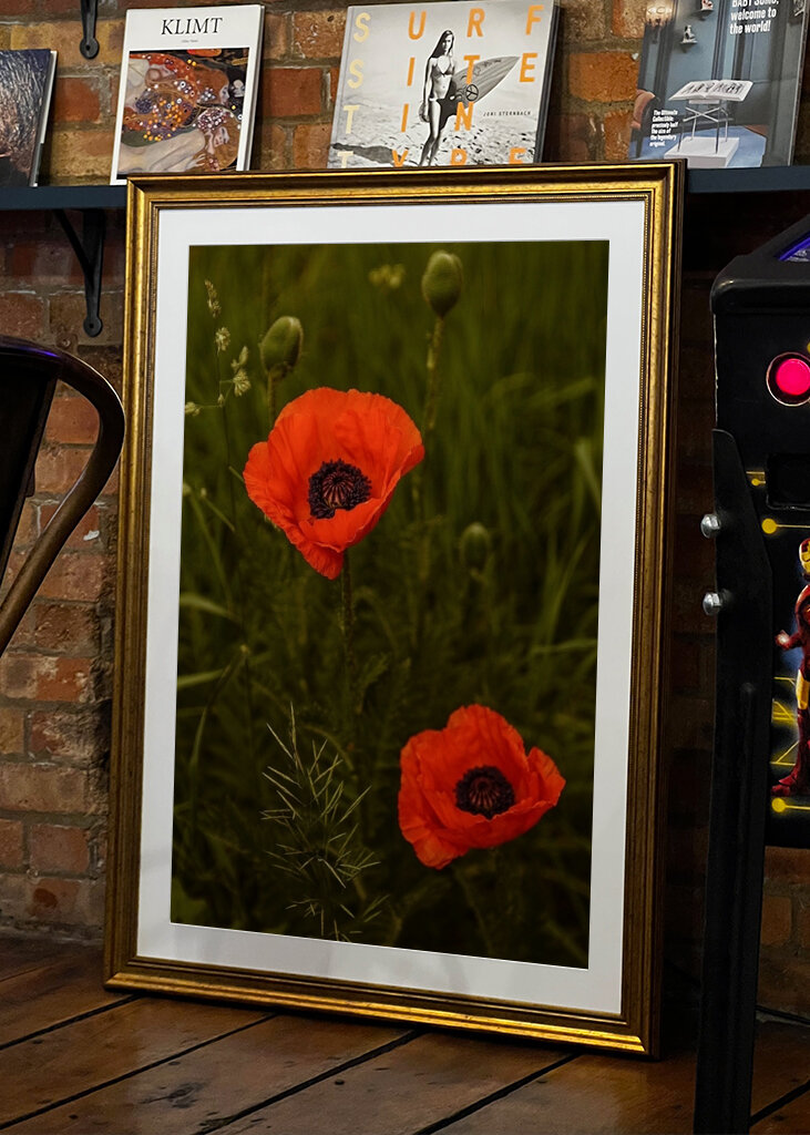 Red Poppies In A Lush Green Field