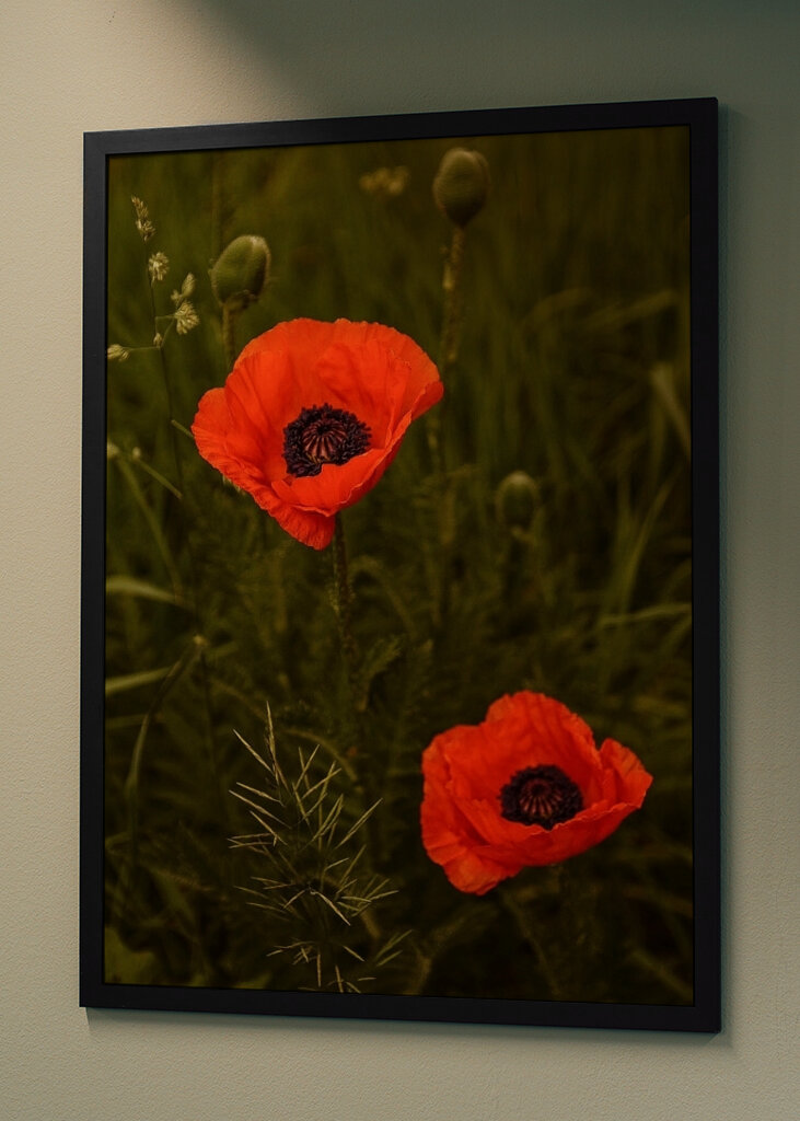 Red Poppies In A Lush Green Field