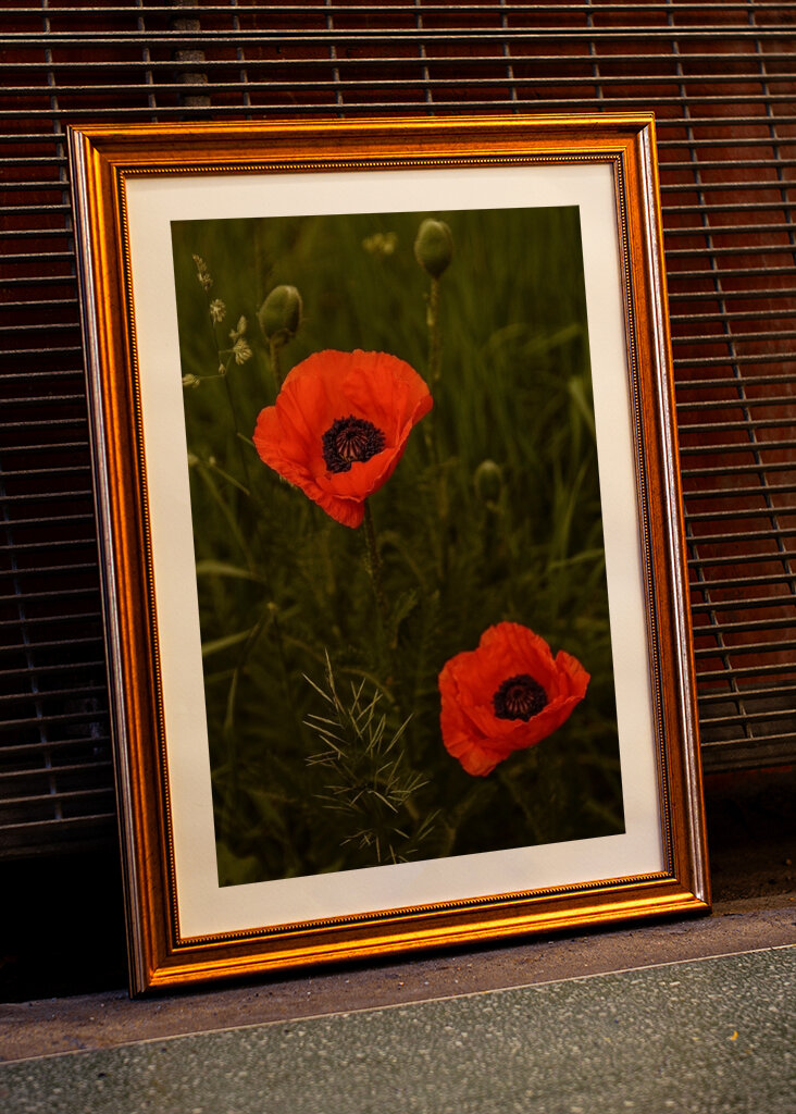Red Poppies In A Lush Green Field