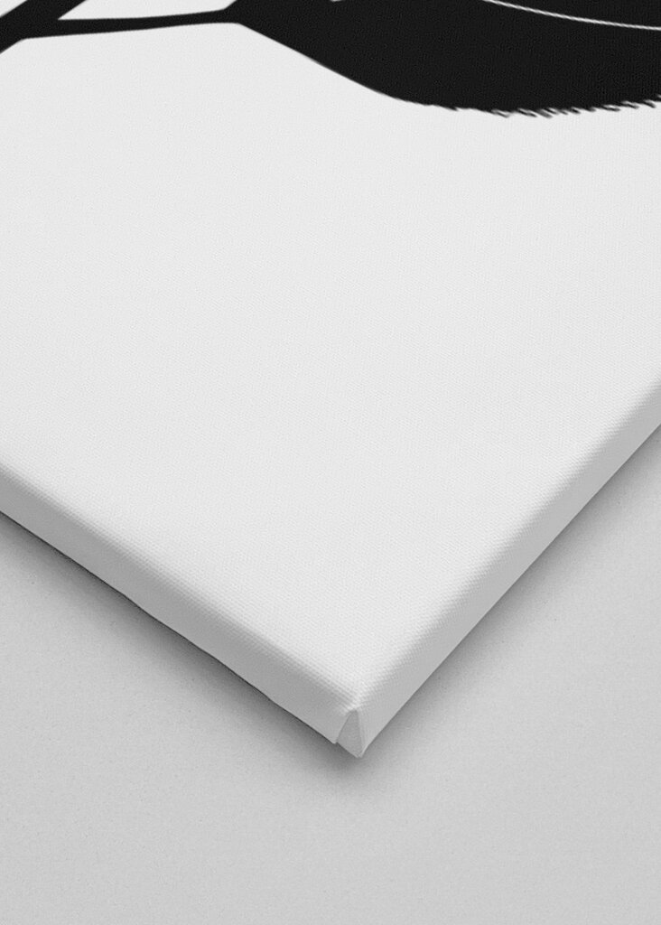 Midnight Bloom: Graphic Florals