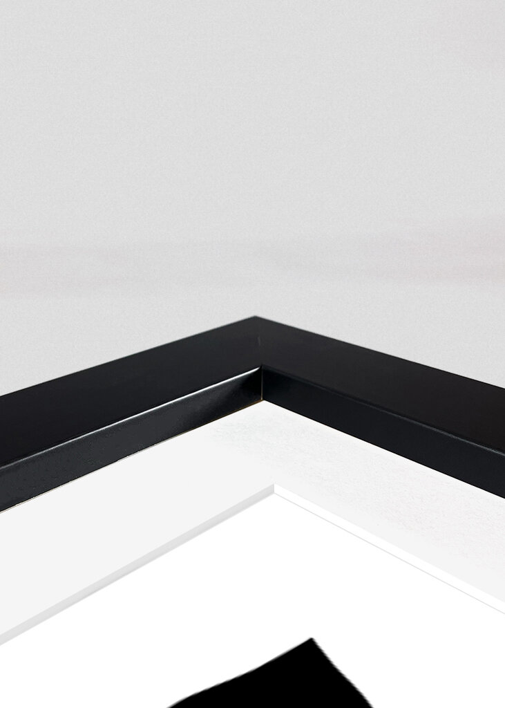 Midnight Bloom: Graphic Florals