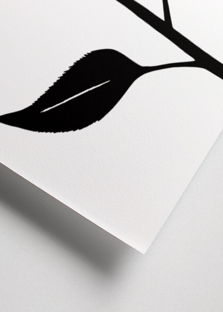 Midnight Bloom: Graphic Florals