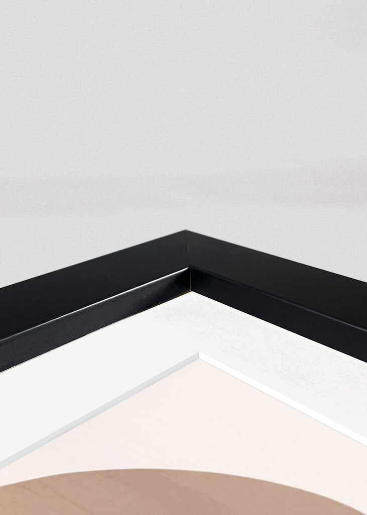 Reflections in Silhouette