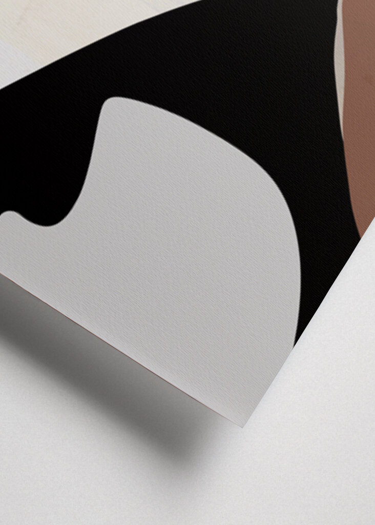 Reflections in Silhouette