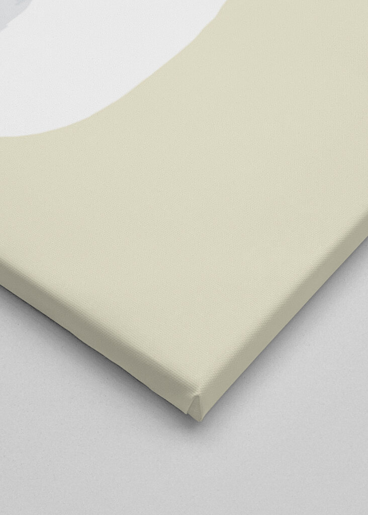 Funny Rabbit with Strawberry