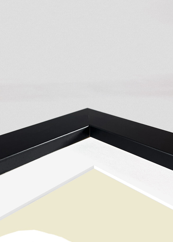 Funny Rabbit with Strawberry