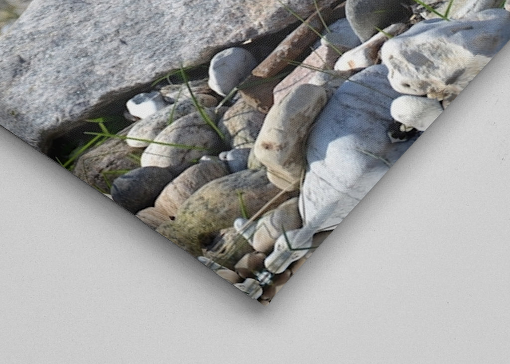 Œuvres d’art sur la plage