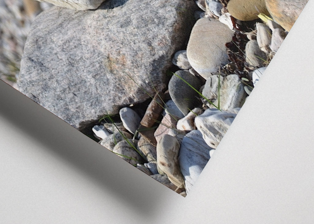 Œuvres d’art sur la plage