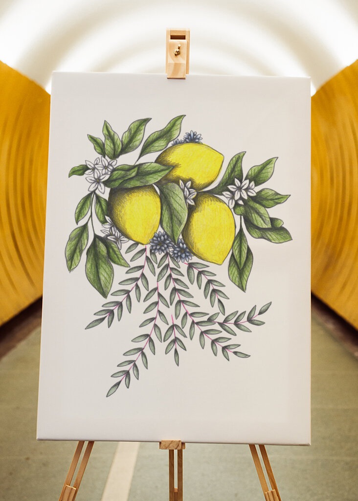 Lemons and Green leaves with Delicate White Blossoms