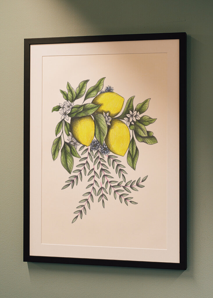 Lemons and Green leaves with Delicate White Blossoms
