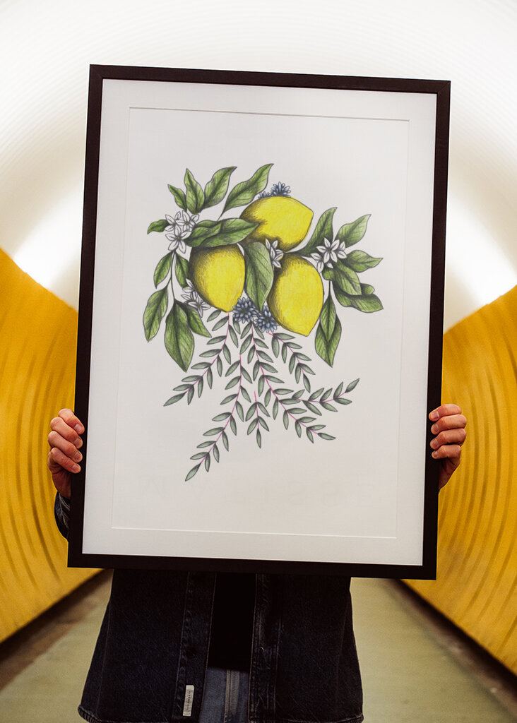 Lemons and Green leaves with Delicate White Blossoms