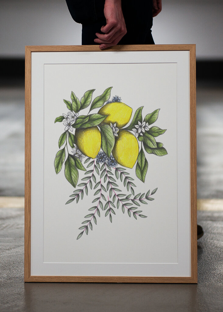 Lemons and Green leaves with Delicate White Blossoms