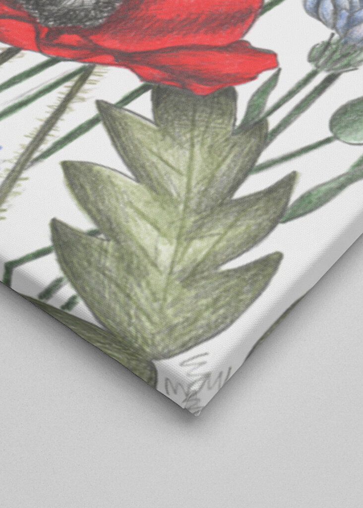 Colorful Flower Garden